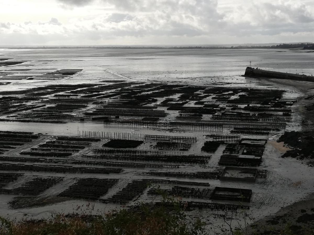 Chambres D'Hotes Les Fleurettes En Baie Du Mont Saint Michel מראה חיצוני תמונה